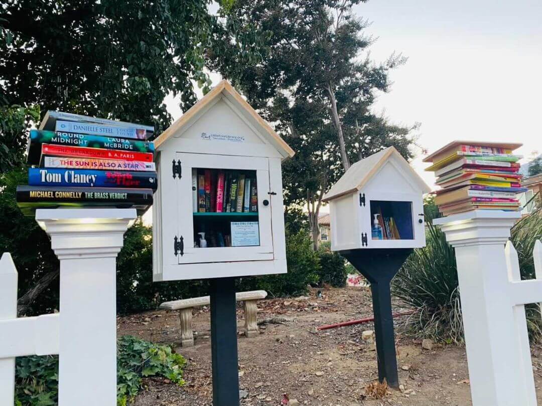 For the Love of Little Free Libraries