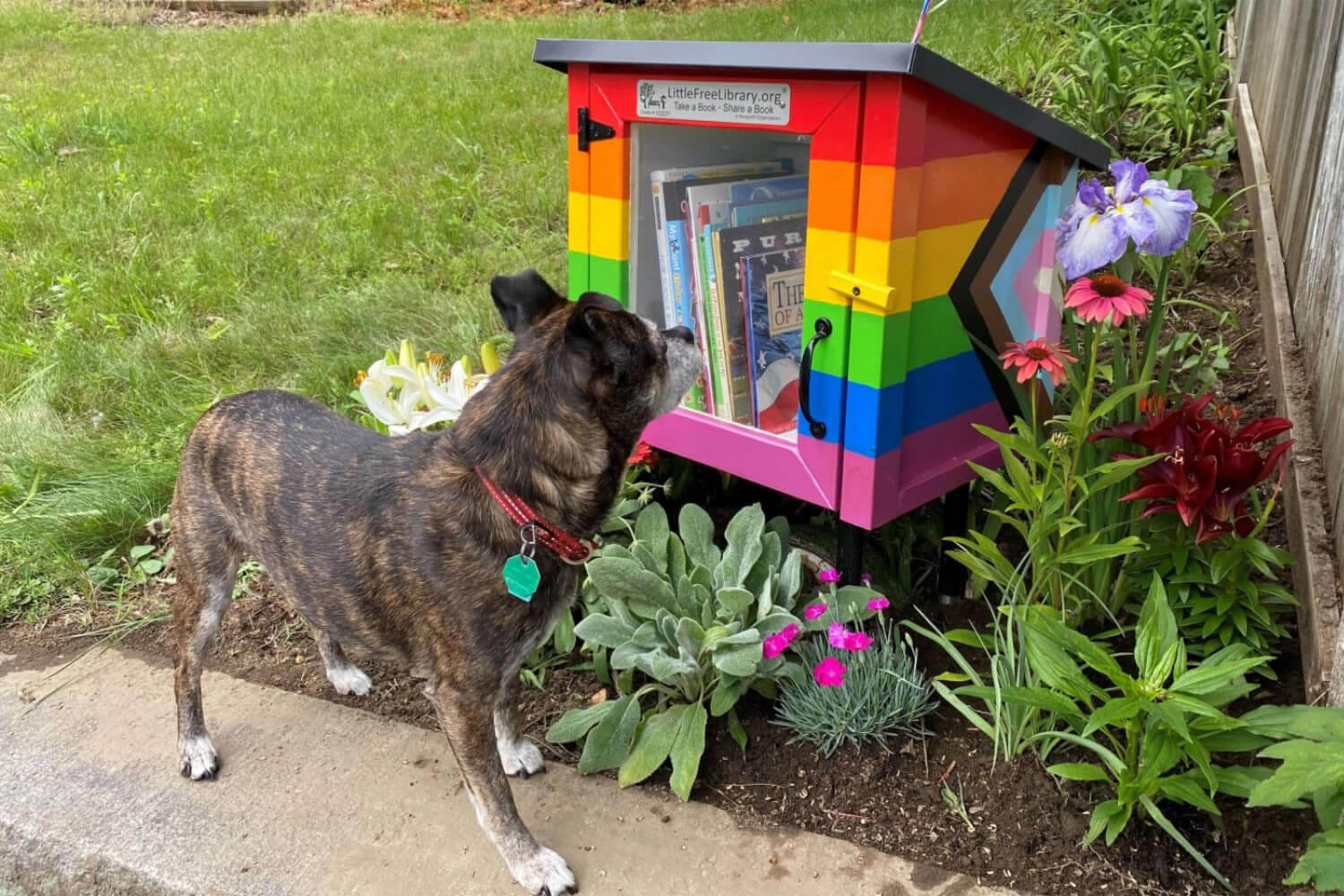 For+the+Love+of+Little+Free+Libraries