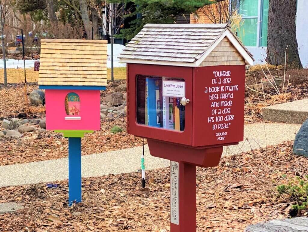 For the Love of Little Free Libraries