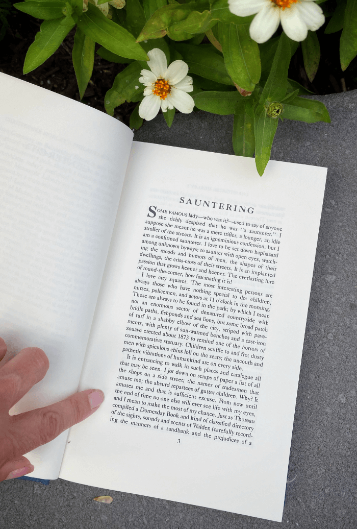 From Tragedy to Time-Travel Series: A Tribute to My Sister