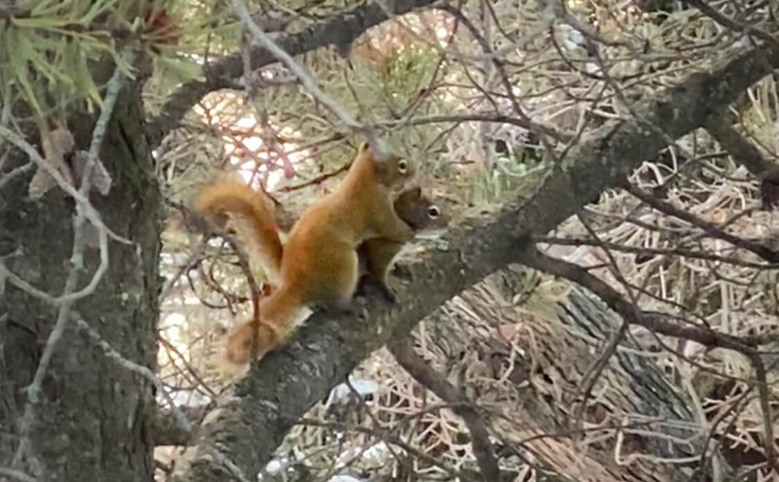 My First Year as a Self-Published Author: The Hard Truth