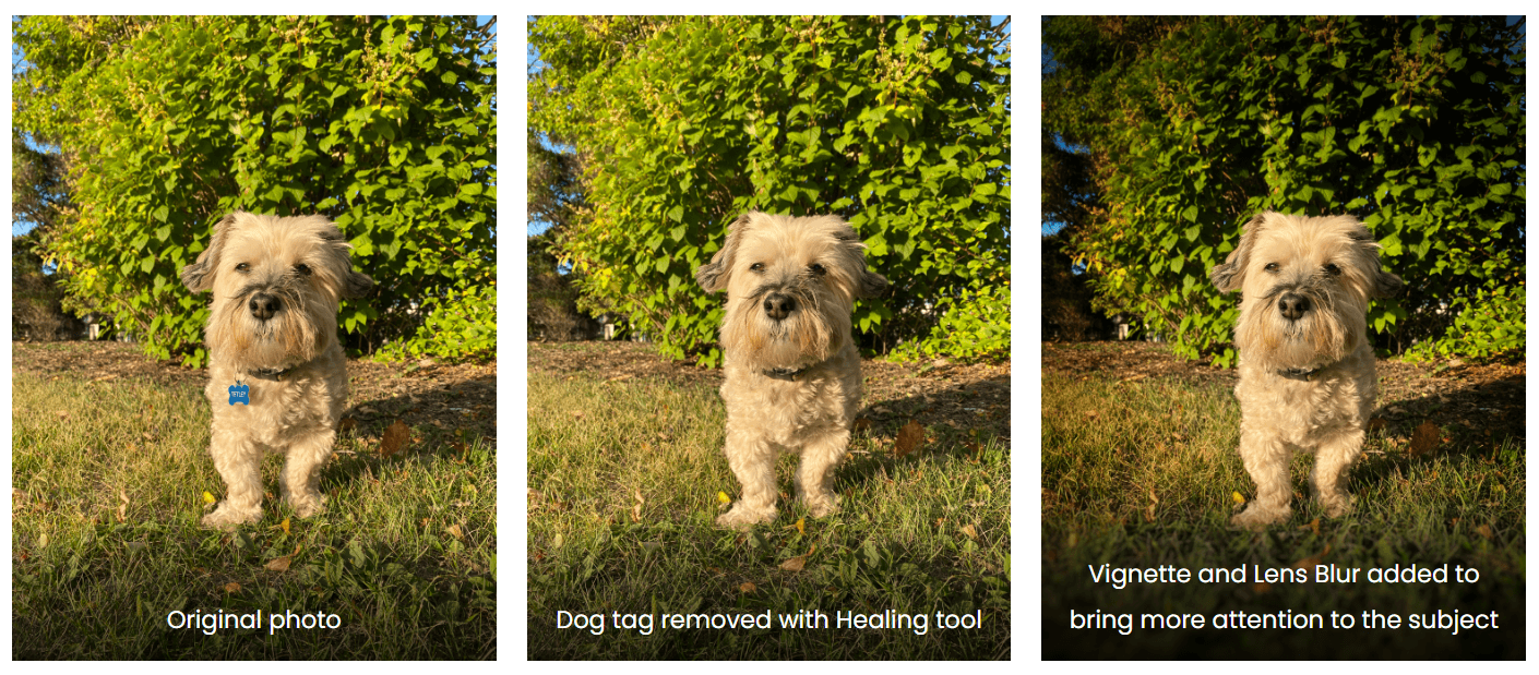 Four Awesome Design Tools for Authors and Other Creatives