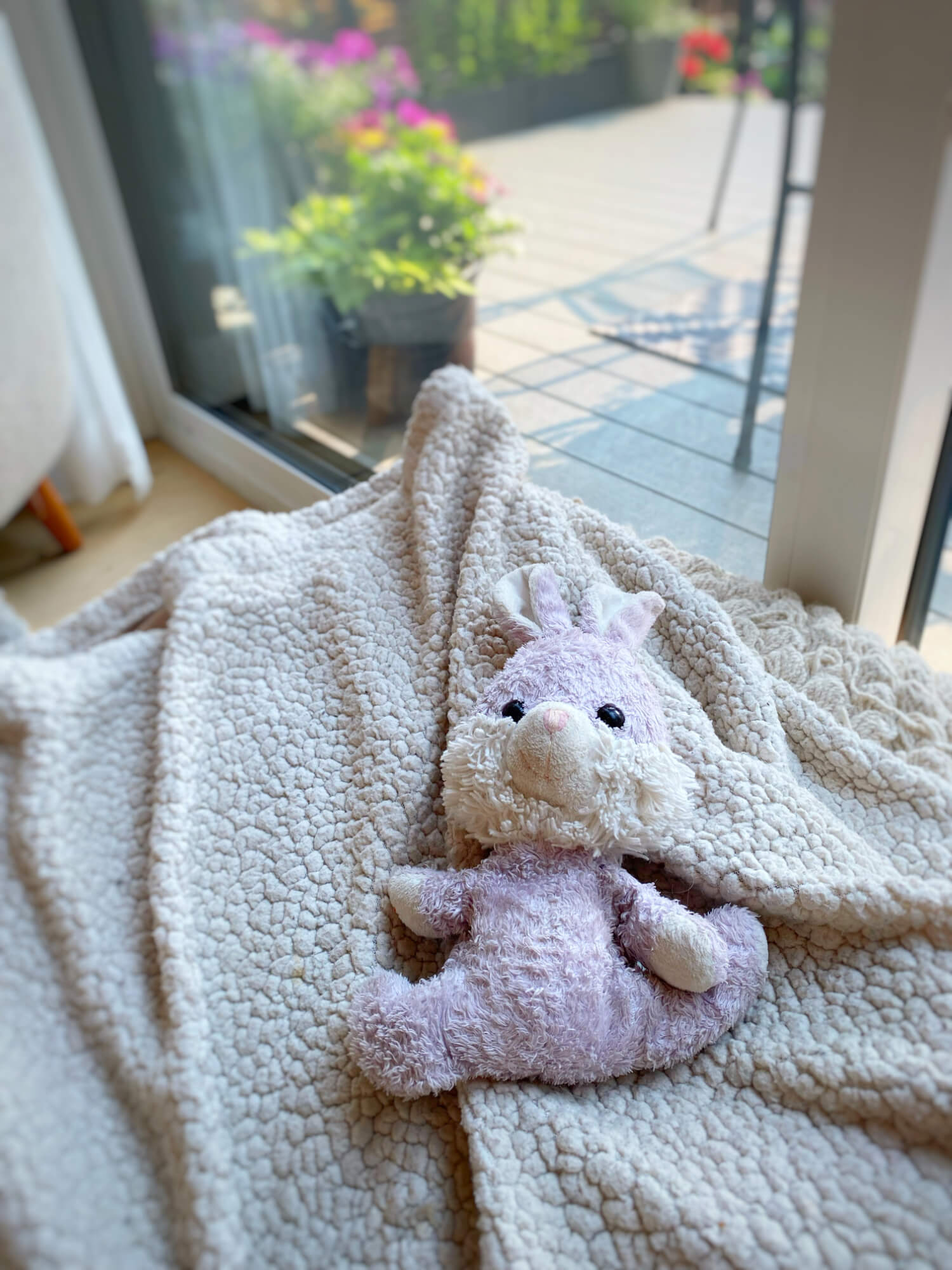 The Last Chapter: A Journey Through Pet Loss and Love